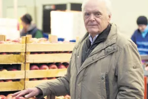 Gomolava u predstečaju: U banani se našla i tvrtka za dozrijevanje banana