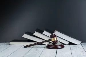 Poslodavci i dalje moraju&nbsp;provoditi ovrhu kao što su do sada
