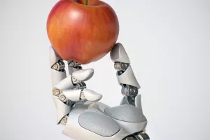 DRUŠTVENI ROBOTI Programirani su da s njima držimo i dijetu