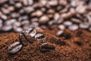 Atlantic Grupa i Procaffe sklopili strateško partnerstvo