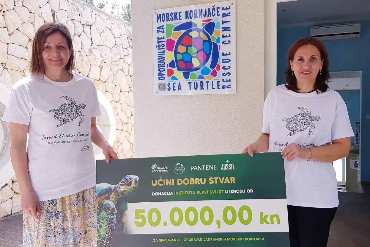 Procter&Gamble donirao 50 000 kuna oporavilištu za morske kornjače u Malom Lošinju