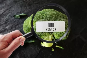 Usvojena Deklaracija o Alpe-Adria-Dunav području slobodnom od GMO-a