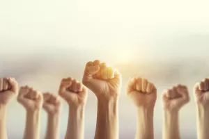 Edis Felić: Odbacimo mogućnost obveznog članstva u sindikatima