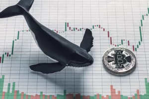 Bitcoin 'kitovi' - Elita koja može utjecati i manipulirati valutom