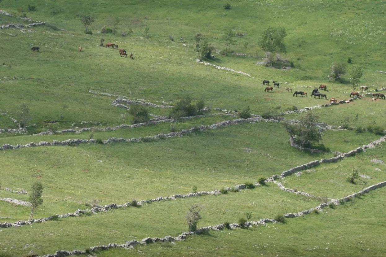 Velebitska degenija - Nagrađeni najbolji novinarski radovi s područja zaštite okoliša i prirode