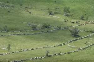 Velebitska degenija - Nagrađeni najbolji novinarski radovi s područja zaštite okoliša i prirode