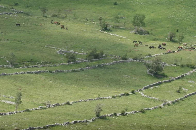 Velebitska degenija - Nagrađeni najbolji novinarski radovi s područja zaštite okoliša i prirode