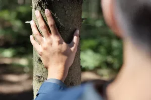 Tvrtka Tetra Pak objavila 22. godišnji Izvještaj o održivosti