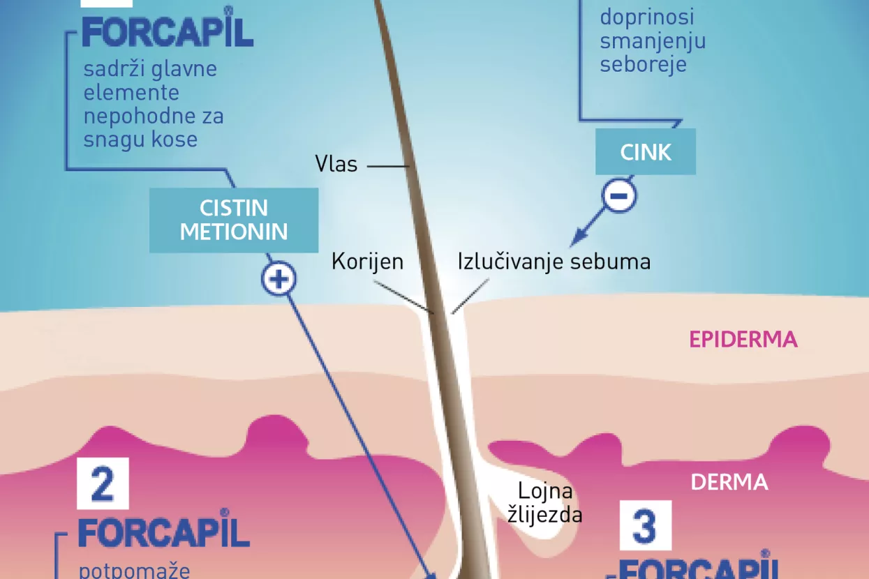 Forcapil® Anti-chute osigurava trostruko djelovanje: rast, snagu i elastičnost