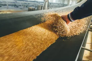 Cijene hrane u ožujku na najvišoj razini u više od 30 godina