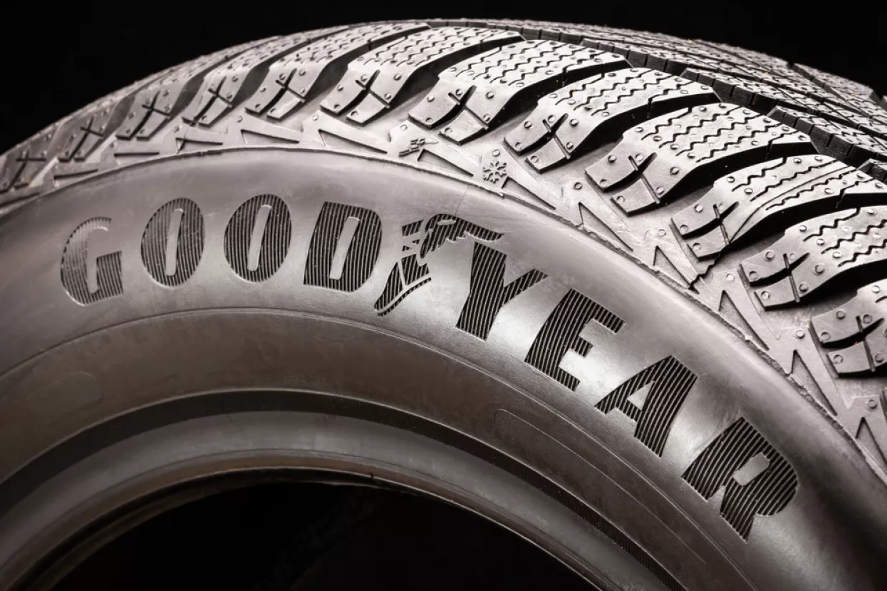 Goodyear izrađuje održive gume od – ruskog maslačka