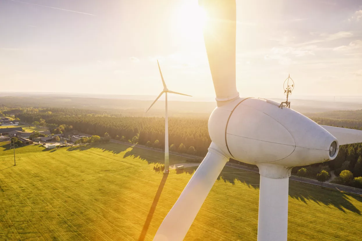EU želi da se prijeđe na zelenu energiju ne vodeći računa o okolišu