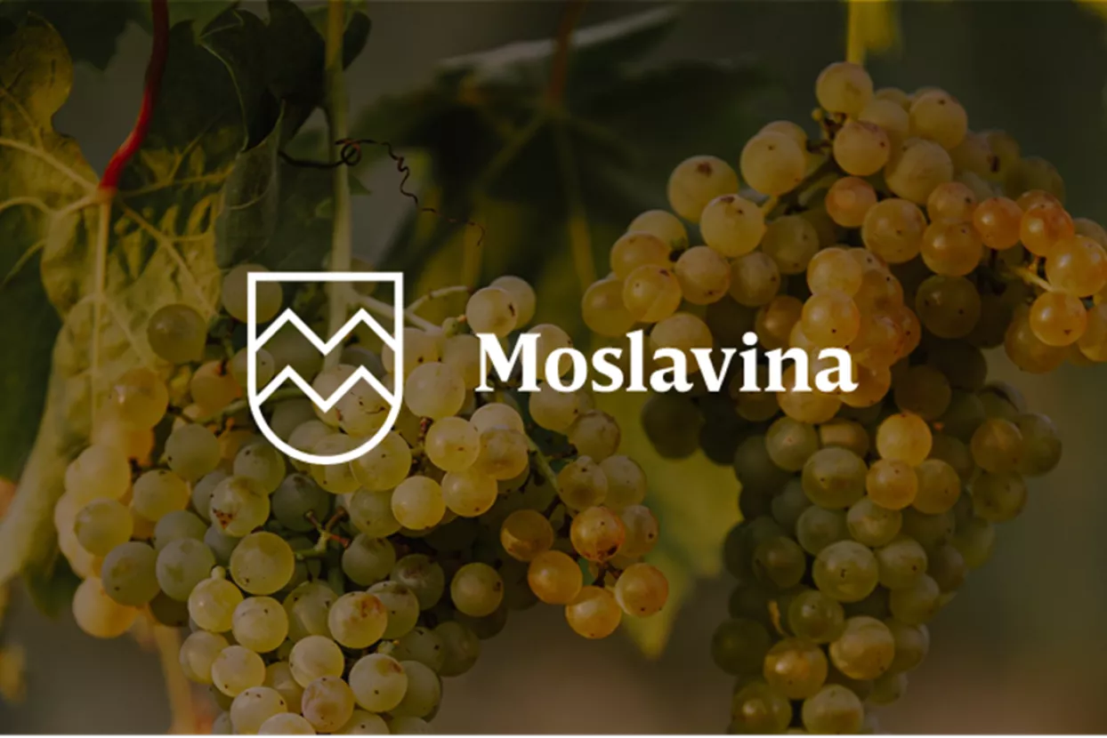 Moslavina – skrivena zemlja