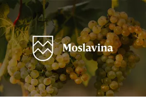 Moslavina – skrivena zemlja