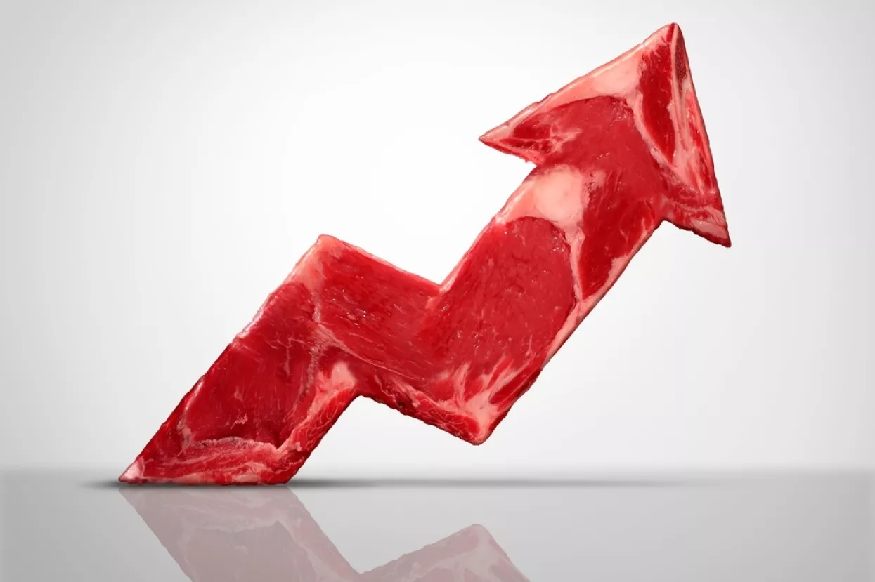 Proizvođačke cijene industrije u lipnju porasle rekordnih 24 posto