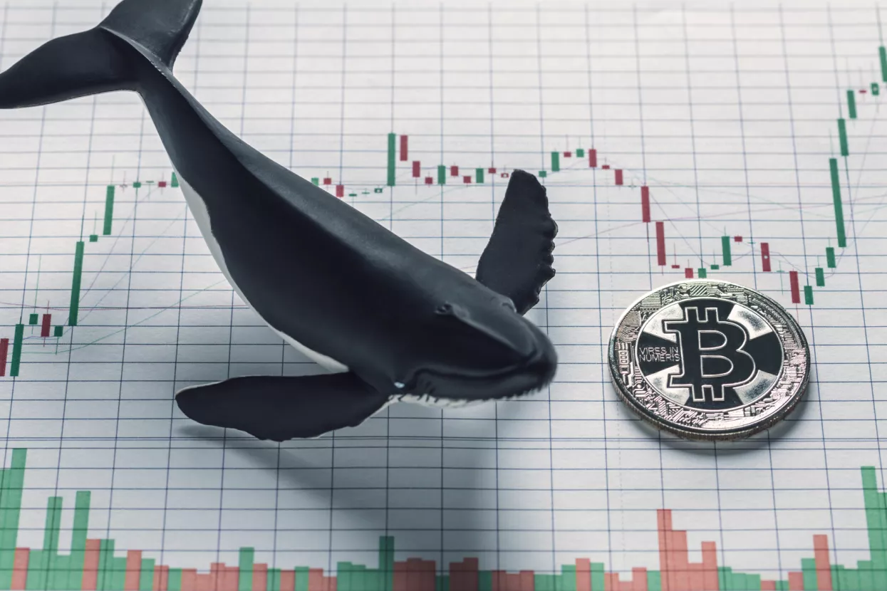 Što je bitcoin whale praćenje?