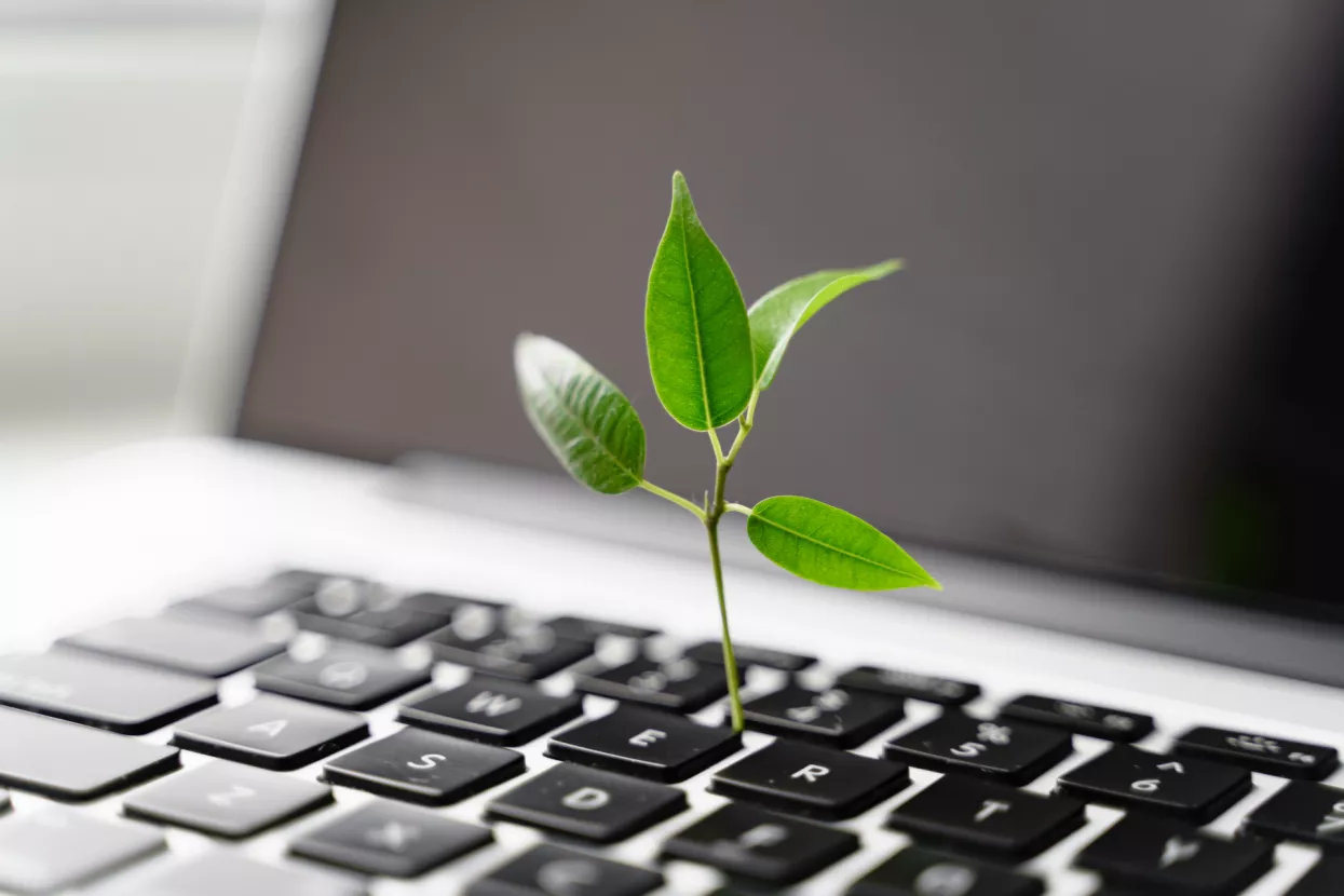 Digitalna održivost – kako Internet učiniti uistinu zelenim