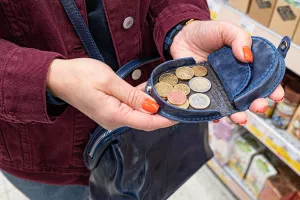 plaća u eurima, euro, plaća