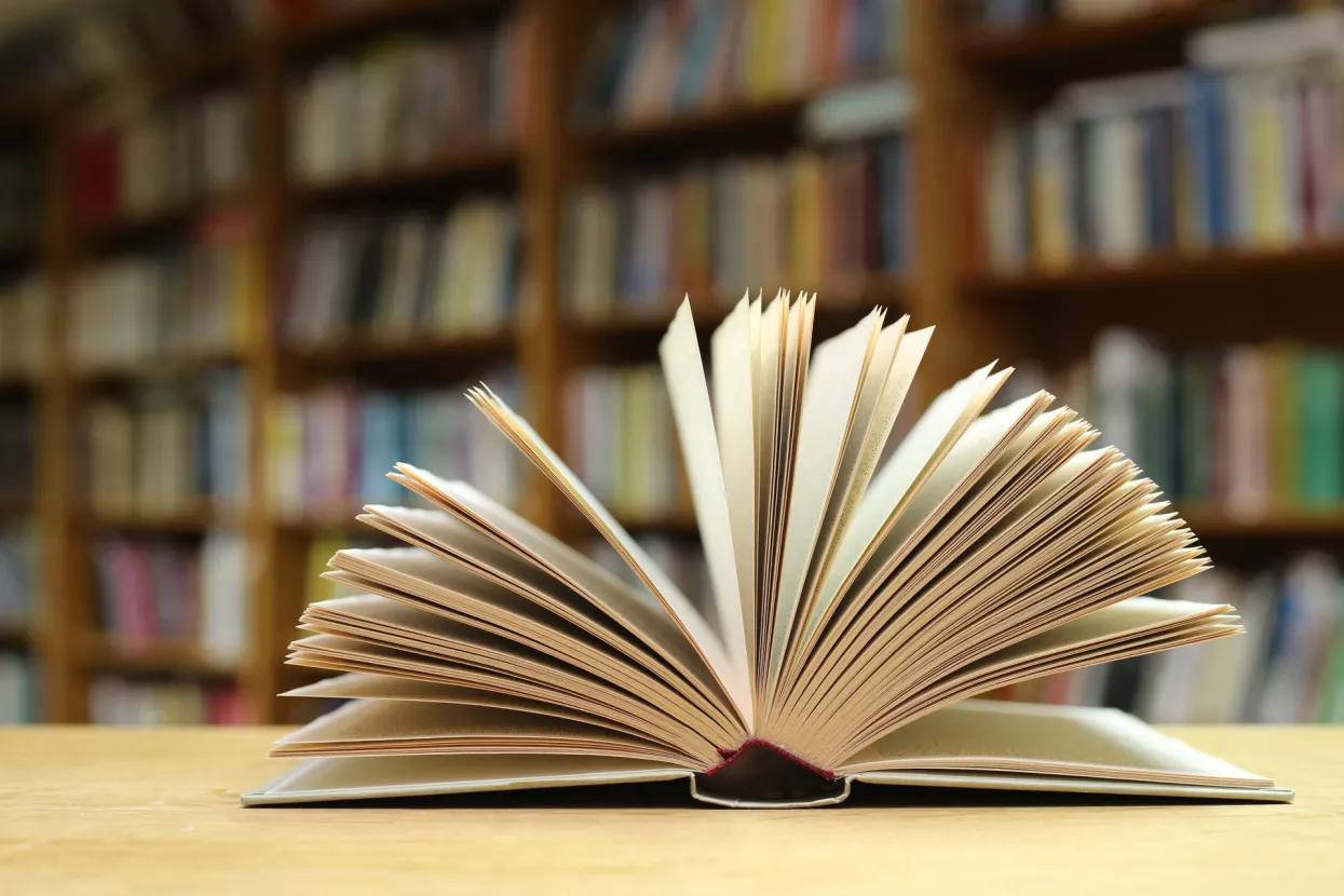 knjiga, book
