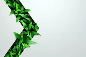 Smjernice do EU novca: Pravi trenutak je ključan