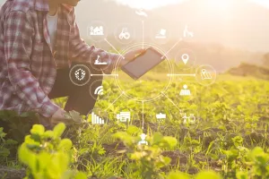 Softveri, često potpomognuti umjetnom inteligencijom (AI) upravljaju plantažama i stočnim farmama i poljoprivrednicima pomažu povećati prinos i održivost proizvodnje prilagođene klimatskim promjenama. Svi podaci dostupni su u stvarnom vremenu a to, u odnosu na tradicionalni uzgoj, ne samo da poboljšava urod nego smanjuje i troškove proizvodnje