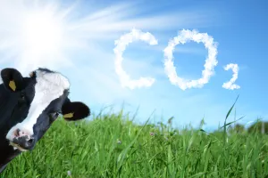 krave, co2