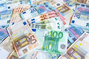 Procjena da će za ostvarenje Europskog zelenog plana biti potrebno najmanje bilijun eura tijekom sljedećih deset godina, možda je i konzervativna s obzirom na to da plan zapravo smjera u potpunosti restrukturirati ne samo europsko gospodarstvo, nego i društvo u cjelini u smjeru koji je za tržišnu ekonomiju dosada bio nepojmljiv