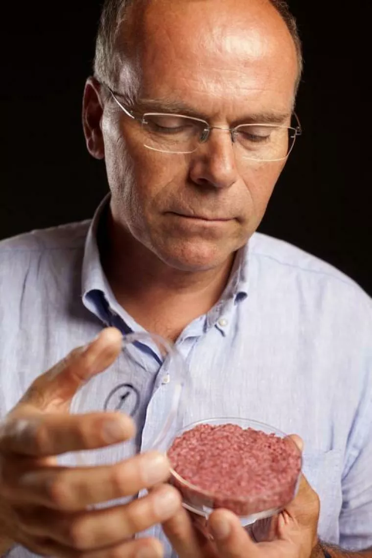 Mark Post, istraživač na Sveučilištu u Maastrichtu te suosnivač kompanije Mosa prvi je na tržištu predstavio hamburger od goveđeg mesa uzgojenog u laboratoriju