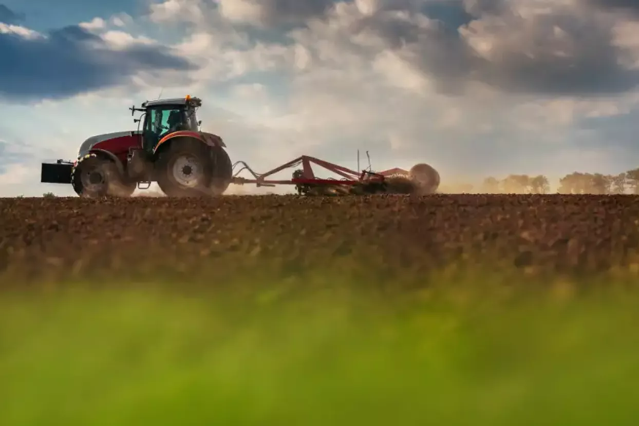Do 2030. tehnologija 5G trebala bi povećati realnu produktivnost u prosjeku za više od šest posto. Pritom se najveći utjecaj na porast produktivnosti očekuje u poljoprivredi, javnom sektoru i proizvodnji - područjima u kojima Hrvatska po produktivnosti ponajviše zaostaje za prosjekom Europske unije