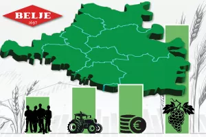 Udjel Belja u Baranji