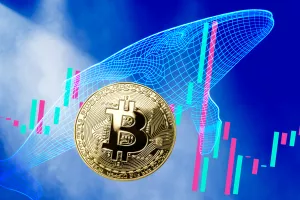bitcoin kitovi