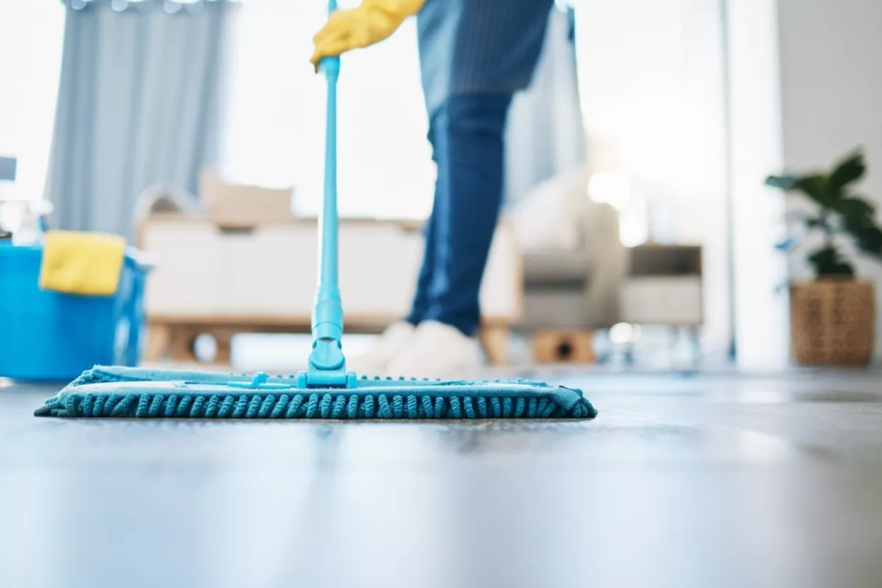 čistačica, čistačice, čišćenje, pospremanje, sobarica, housekeeping