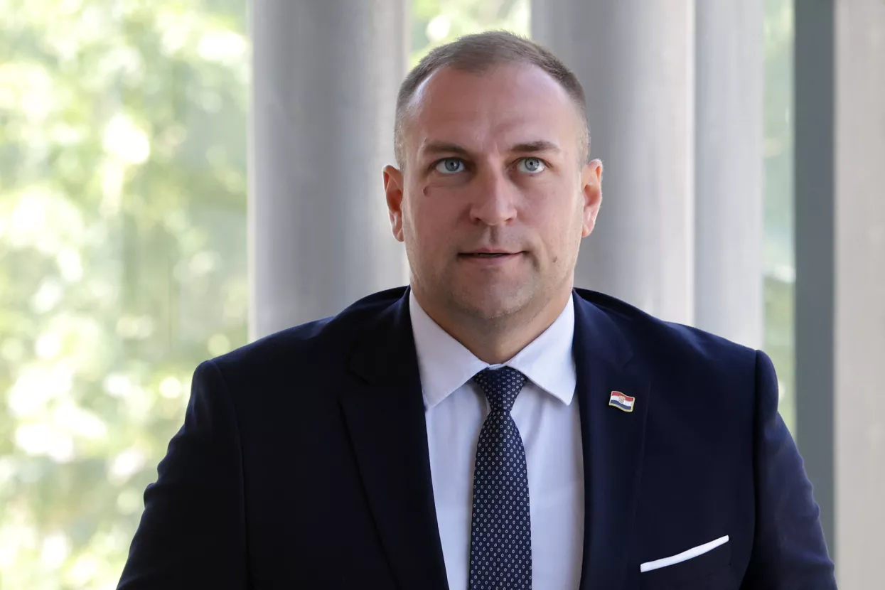 David Vlajčić