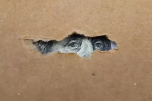 Dolar, novčanica, kapitalizam