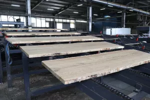 Tvornica parketa PPS Galeković, Mraclin