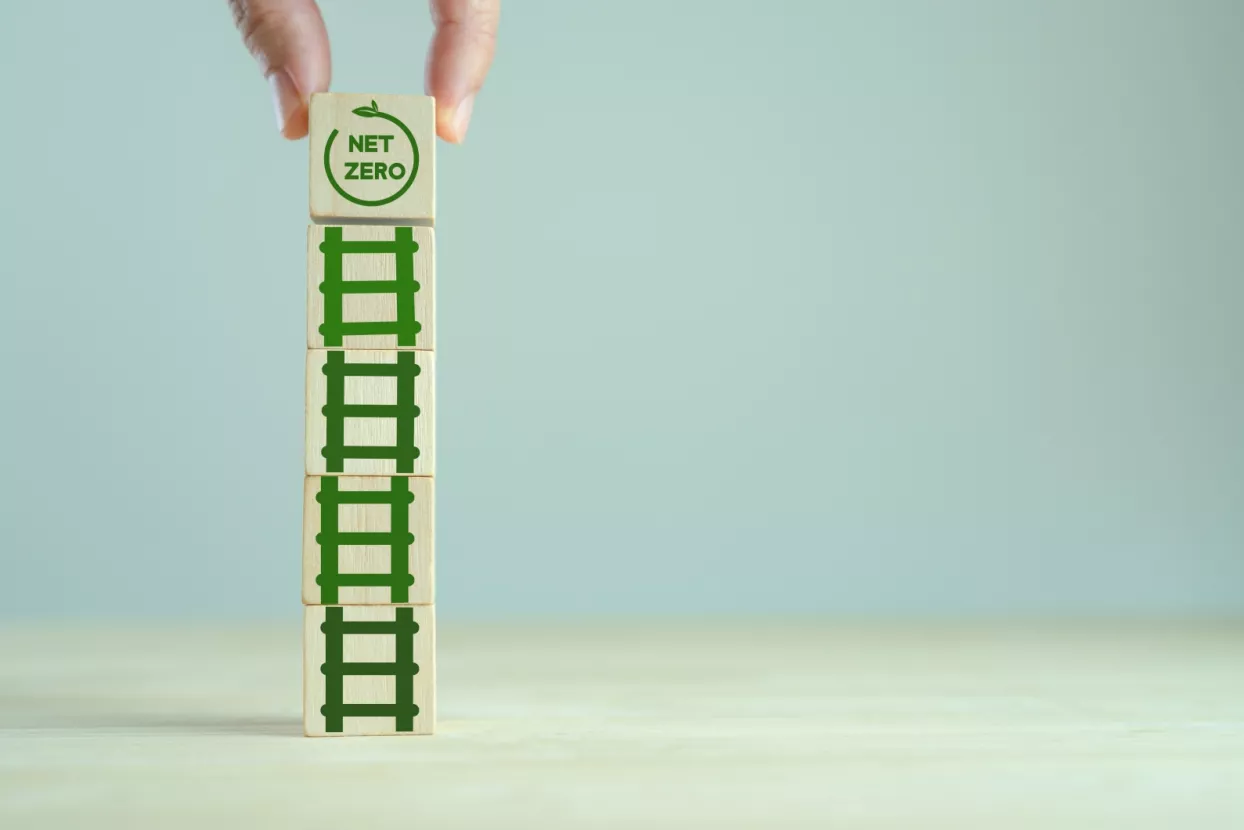 dekarbonizacija net zero 