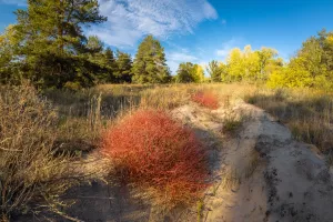 livada, šikara,poljoprivredno zemljište_1