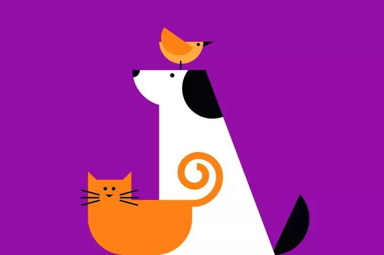 Okrutna istina o kloniranju kućnih ljubimaca