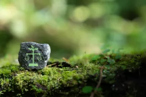 zelena pravila, klima, okoliš