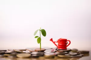 Rizični kapital, ulaganja