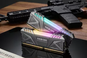 64GB DDR5 RAM vs AR-15 rifles