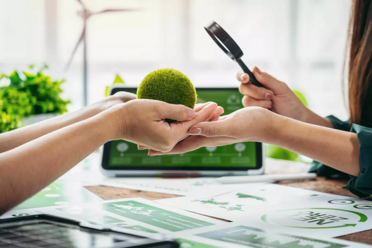 utjecaj na okoli&scaron;