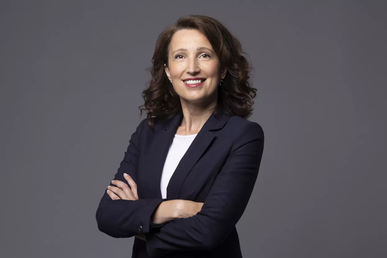 Jadranka Lović, FER, Crobohub