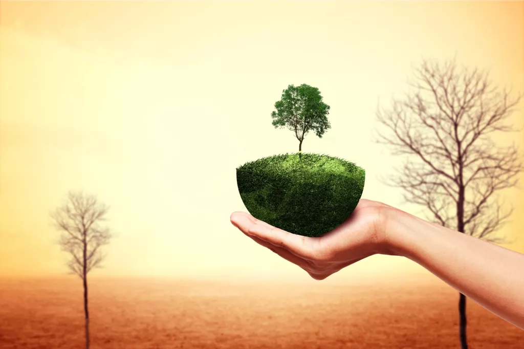 Poljoprivreda na pretplatu