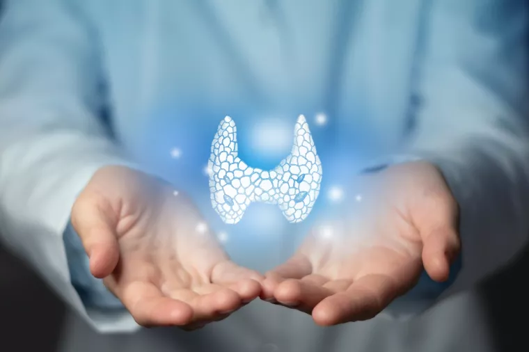 Thyroid gland issues medical concept. Photo of female doctor, empty space.