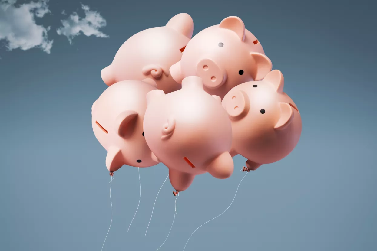 kasica prasica, &scaron;tednja, inflacija, potro&scaron;nja, zaduživanje