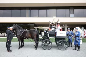 Uplift - priče iz Slavonije