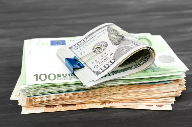 Dolar euro