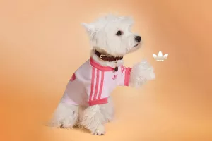 adidas, kućni ljubimci, originals