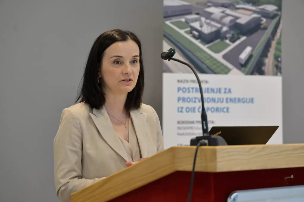 Marija Vučković, Ante ČikotićEnergetski park budućnosti, ČaporiceInovapro Green